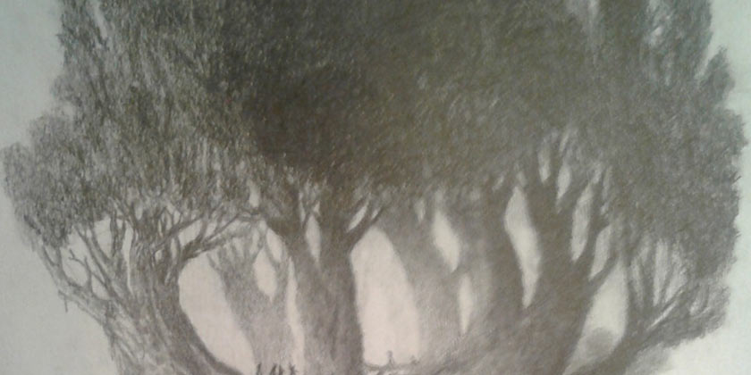 A whole new world ahead where NOTHING is impossible Drawings by Ryan Spring