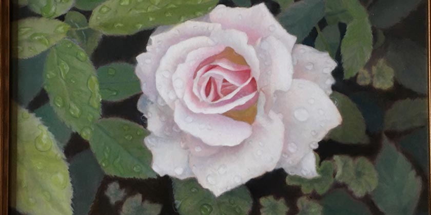 not-enough-talent-to-be-an-artist