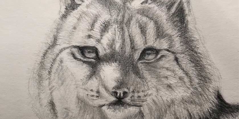 how-to-draw -Art is vital like breathing