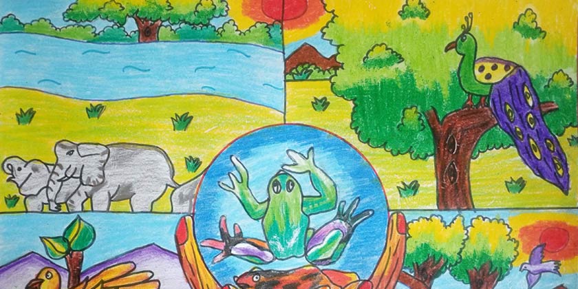 My hobbies drawing and colouring