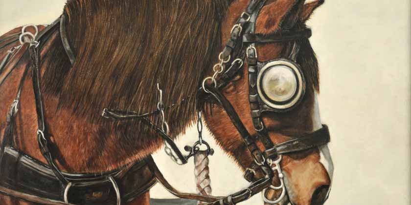 how-to-draw-paint-I have been drawing and painting most of my life