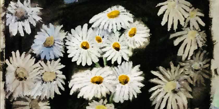 learn-everything-about-painting-self-taught-artist