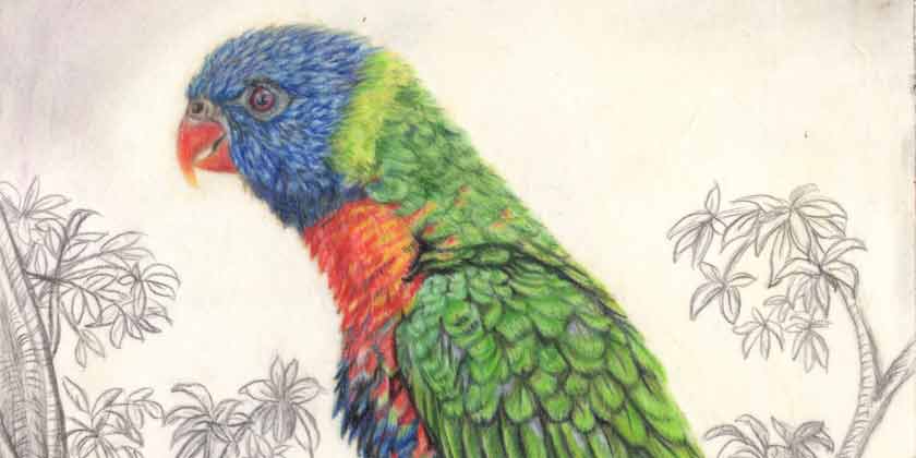 I want to learn the best techniques in oil painting-self-taught-artist