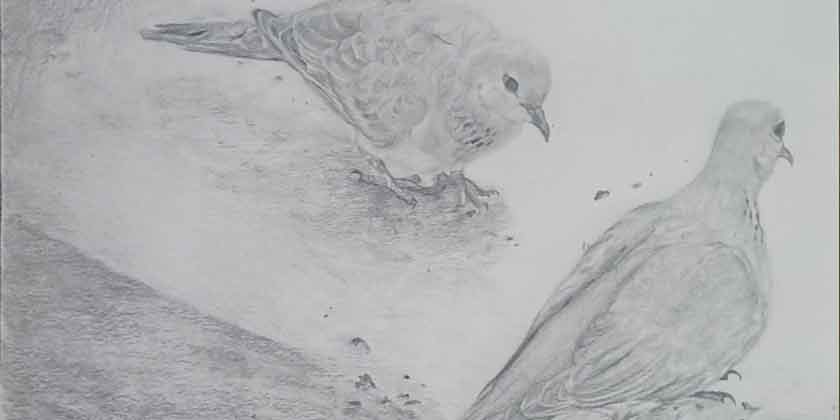 how-to-draw-Always-wanted-to-be-an-Artist